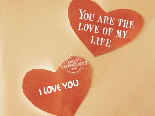 You are the love of my life