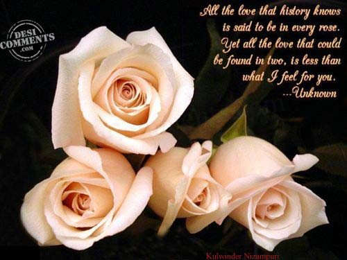 Roses