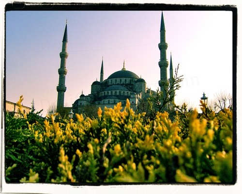 Sultan Ahmed Mosque In Turkey