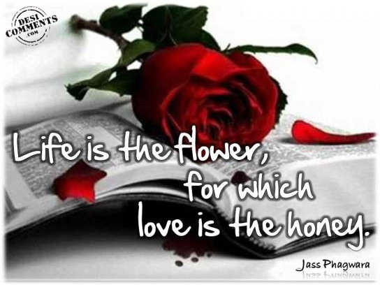 Life is the flower