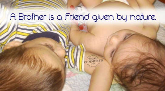 A brother is a friend given by nature
