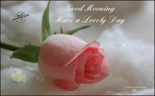 Good Morning, Have a lovely day