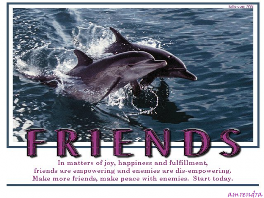 Make more friends