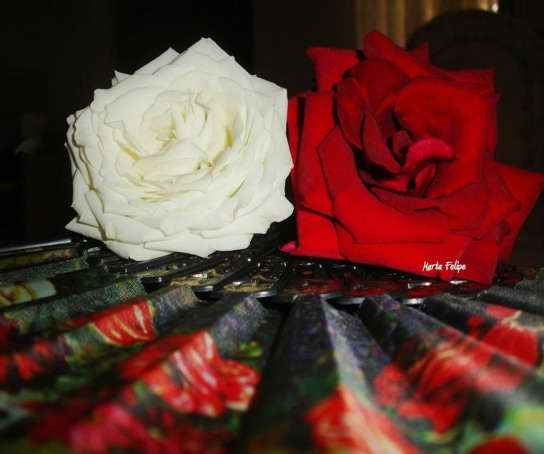Roses