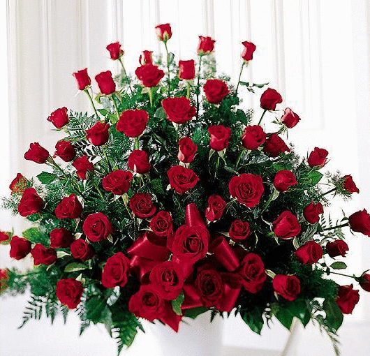 Red Roses