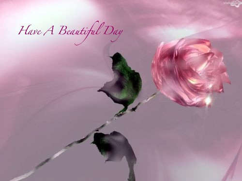 Have a beautiful day