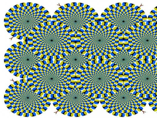 Optical Illusion Snakes