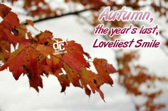 Autumn, the year’s last, loveliest smile