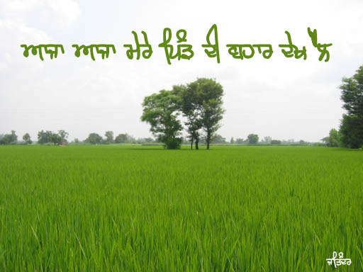 Aaja Aaja Mere Pind Di Bahar Dekh Lai