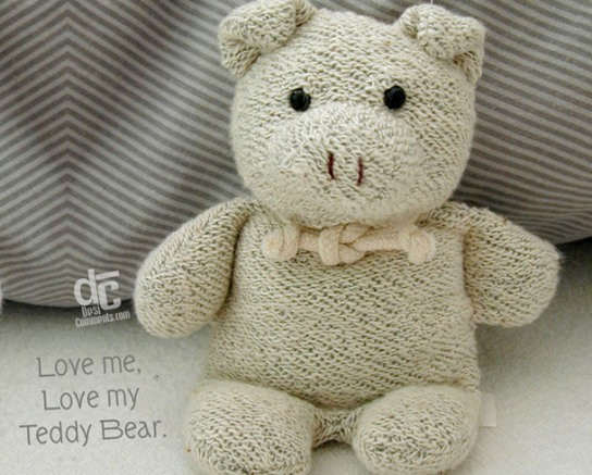 Love Me, Love my Teddy Bear