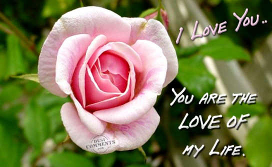 I Love You