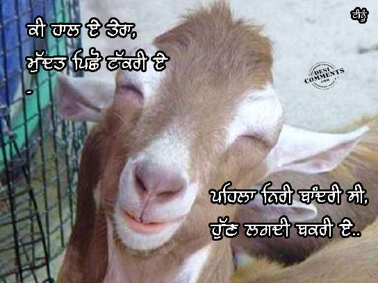 Pehlan niri bandri si, hun lagdi bakri ae