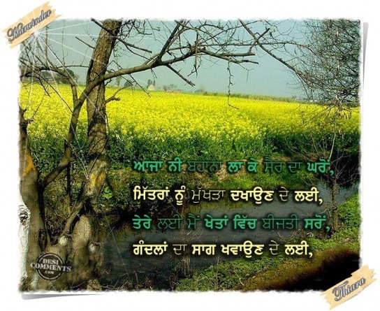 Saron