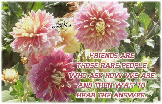 Friends are those rare people…