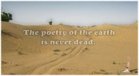 The poetry of earth…