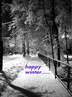 Happy Winter…