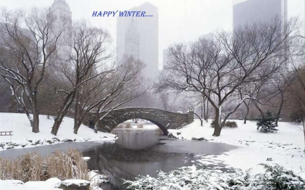 Happy Winter...