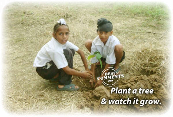 Plant a tree & watch it grow