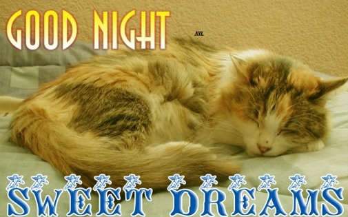 Good Night Sweet Dreams - DesiComments.com