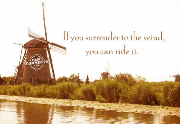 If you surrender to the wind...