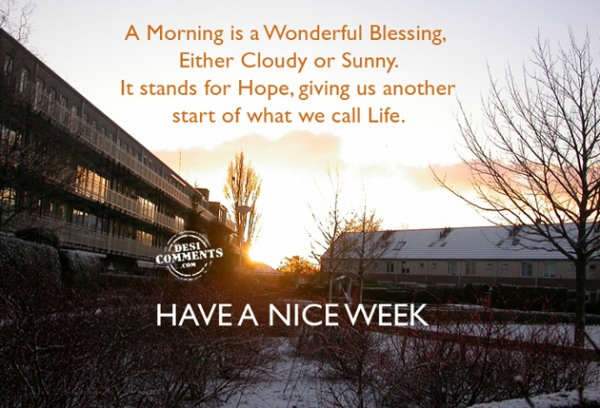 Have a nice week