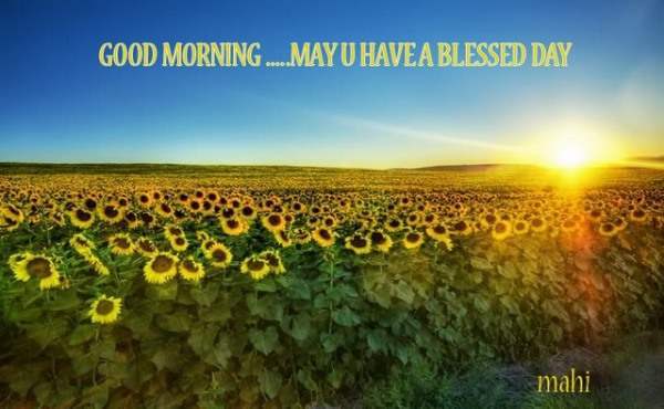 Good Morning...May you have a blessed day