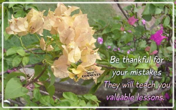 Be thankful for your mistakes
