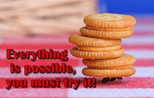Everything is possible, you must try it!