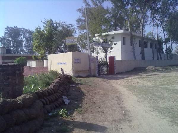 Sarkari School