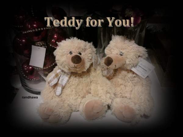 Teddy for you!