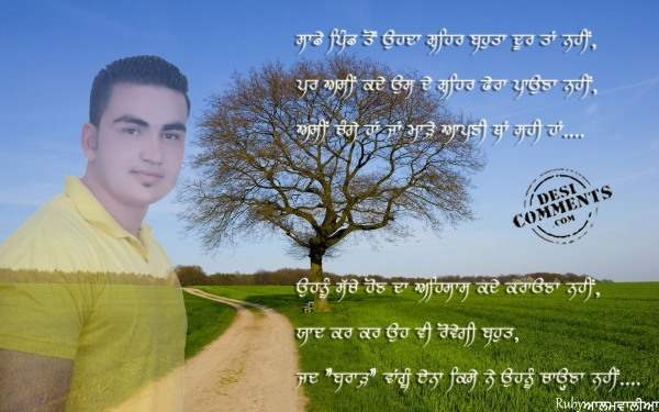 Sadde pind ton ohda shehar bohta duur tan nahi…