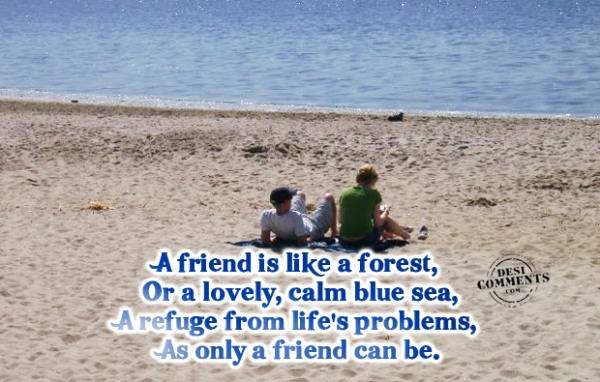 A friend is like a forest...