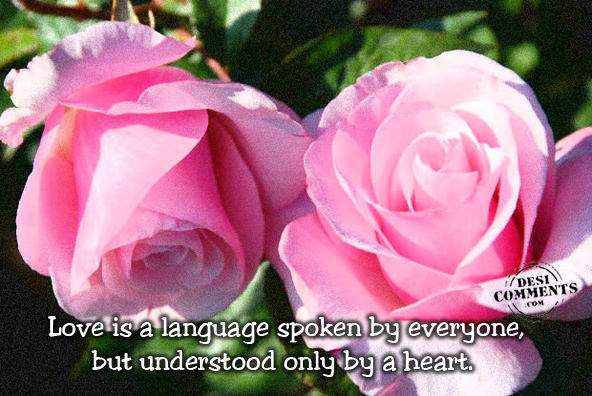 Love is a language…