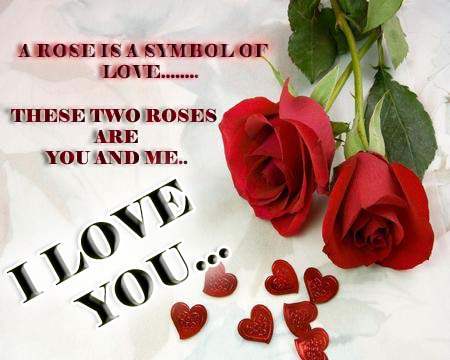 A rose is a symbol of love…