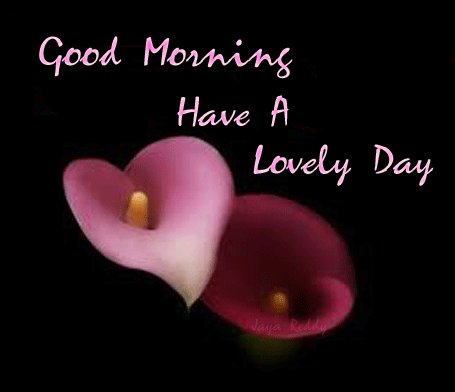 Good Morning, Have A Lovely Day