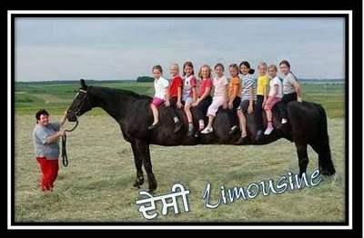 Desi Limousine