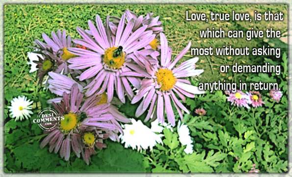 True love is that…