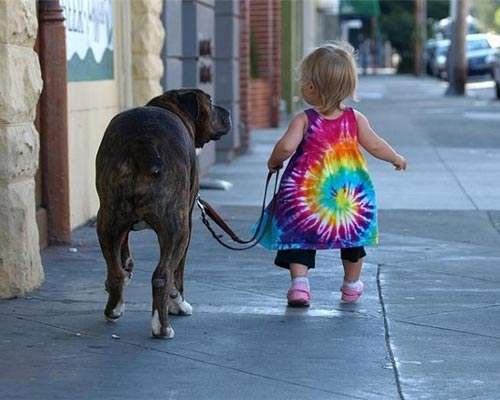 Little baby talking the dog for a walk