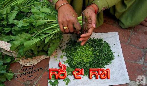 Saron da saag