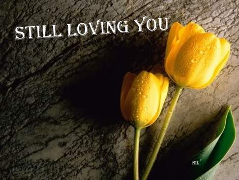 Still loving you