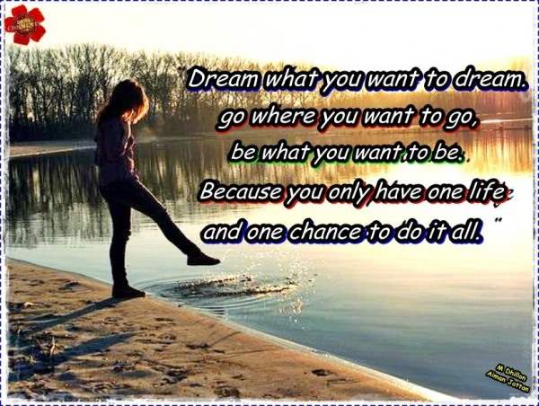 Dream what you want to dream