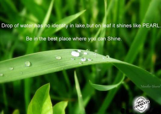 Be in the place where you can shine