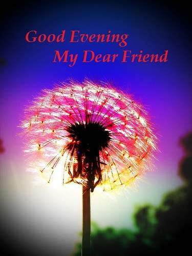 Good Evening My Dear Friend