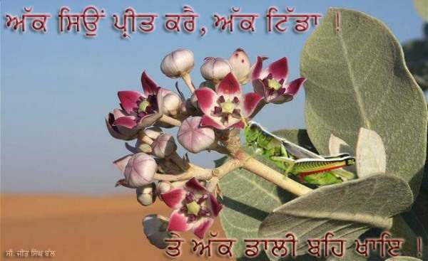 Gurbani