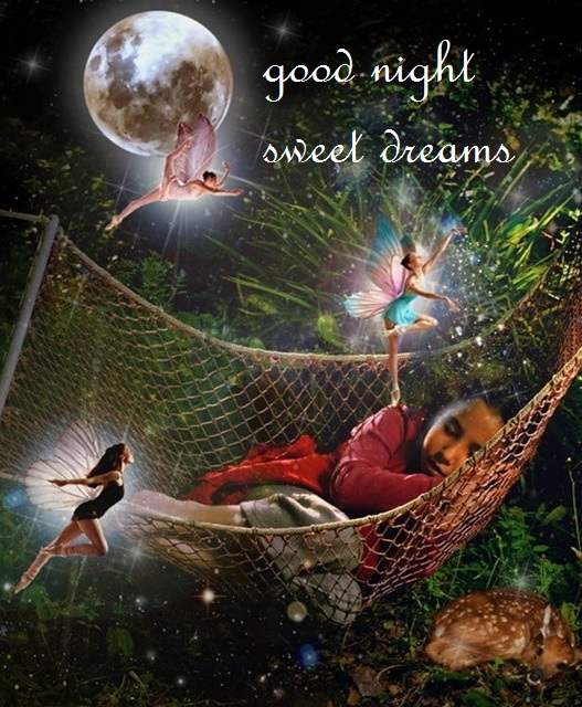 Good Night Sweet Dreams
