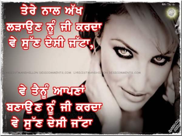 Ve sun desi jatta