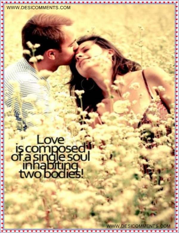 Love is composed of a single soul inhabiting two bodies