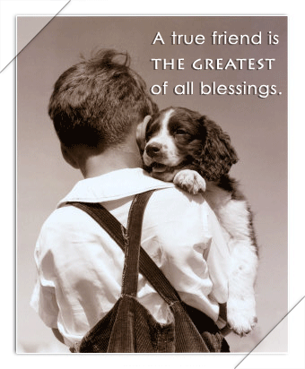 A true friend is the greatest of all blessings
