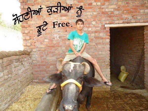 Sohniya kudiyan nu jhoote free