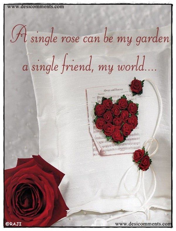A single rose can be my garden a single friend, my world